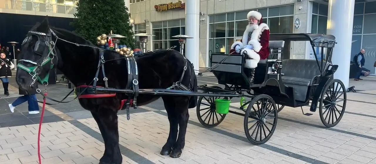 Santa in a horse-drawn carriage with a black horse beside a Christmas tree at an Atlanta holiday event